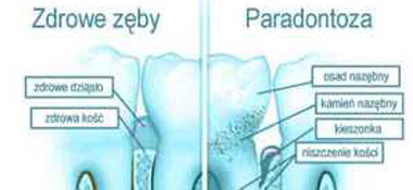 periodontolog